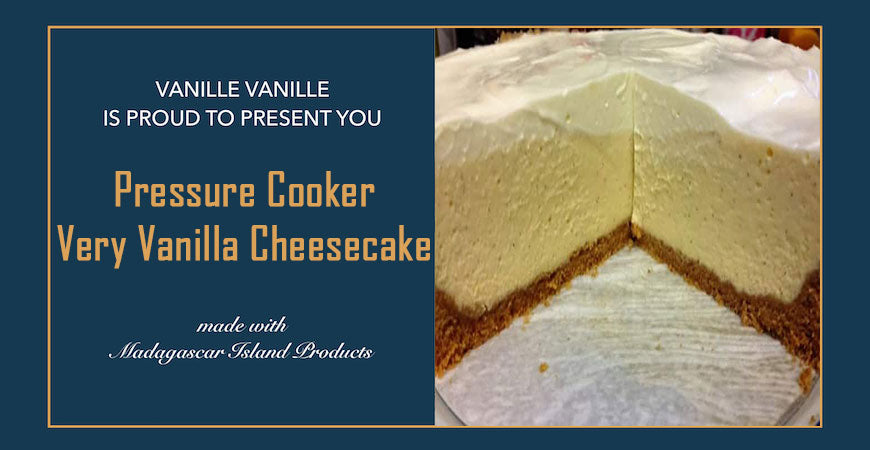 Pressure cooker vanilla cheesecake