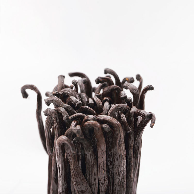 Bourbon Gourmet Vanilla Beans 4