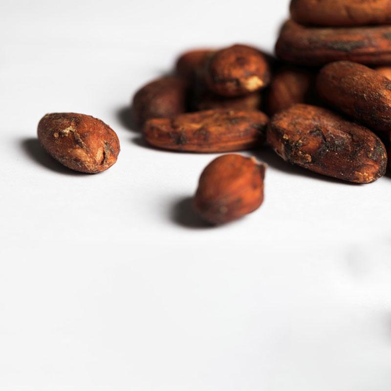 Roasted Cacao Beans