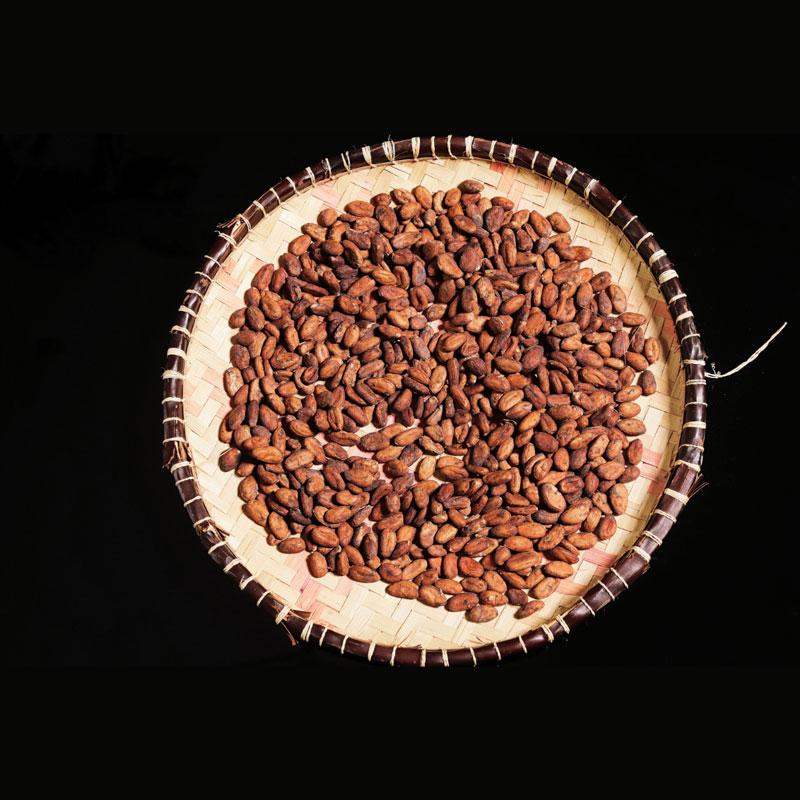 Roasted Cacao Beans 2